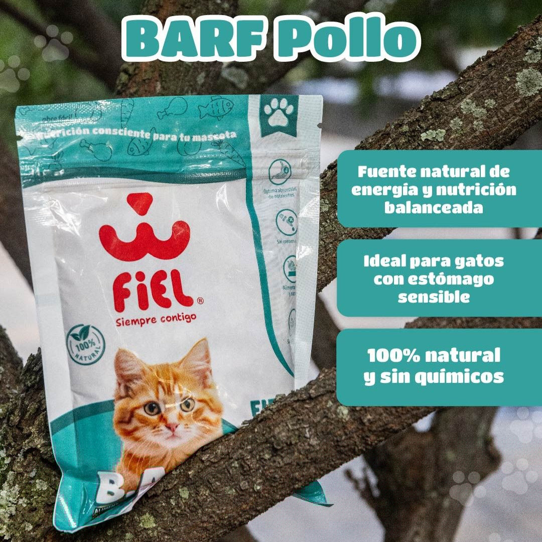 Dieta Barf Para Gatos
